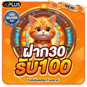 ฝาก 30 รับ 100